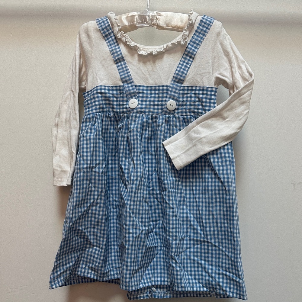 Dorothy Wizard of Oz Toddler Blue and White Gingham Kids Costume Dress has wear